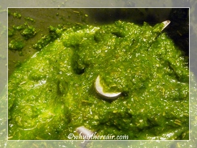 Green curry cheap paste thermomix