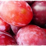 Freshly picked Victoria plums