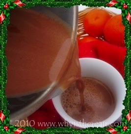 Pour yourself a cup of Thermomix hot chocolate