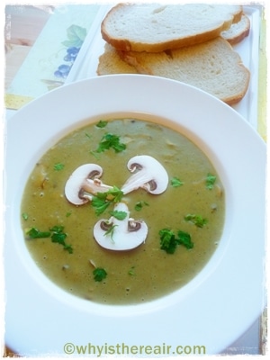 Thermomix Mushroom Soup keeps you fuller for longer
