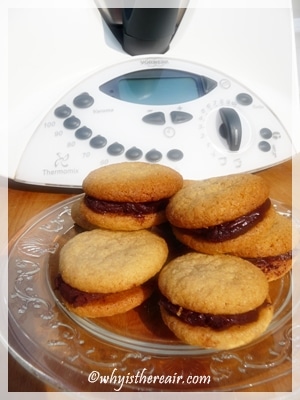 Madame Thermomix's One-Minute Faux Macarons