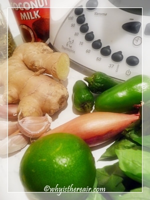 Fresh Ingredients for Thai Green Curry Paste