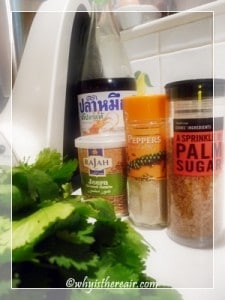Staple Ingredients for Thai Green Curry Paste