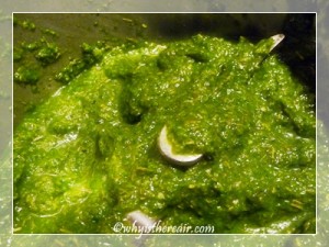 Thermomix Thai Green Curry Paste 