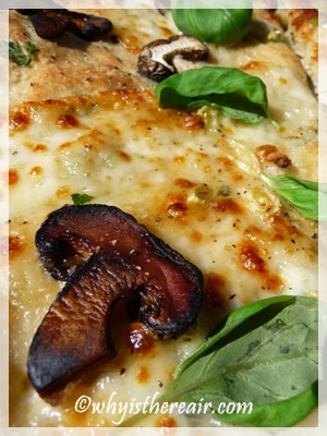 Thermomix pizza dough with soft mozzarella