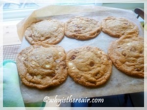 Straight out of the oven! Thermomix chewy chocolate chip cookies