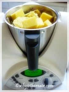 Pineapple Scraps ready to be processed in the Thermomix