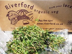 Thyme from Riverford Organics