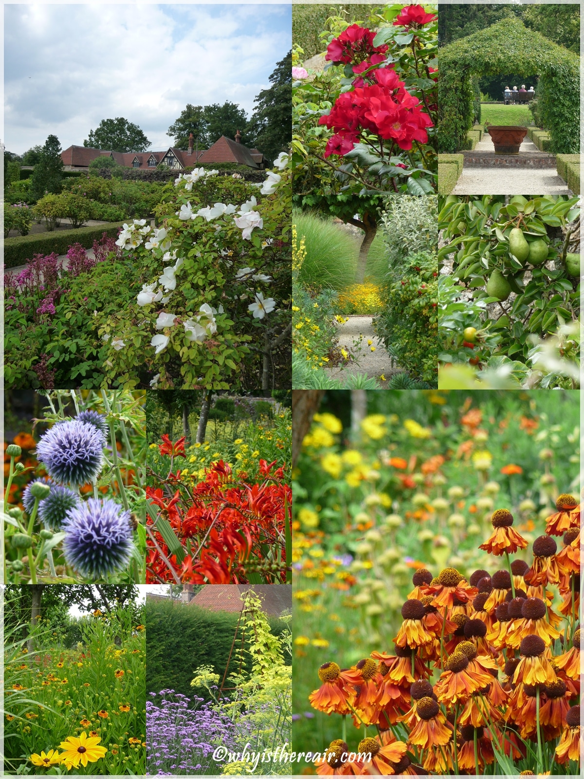 Scenes from Loseley's Gardens