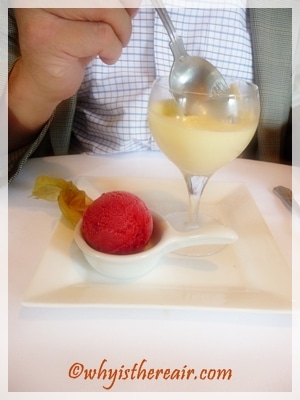 Creamy Lemon Possett with raspberry sorbet