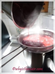 Strain the plums from one Thermomix bowl to another