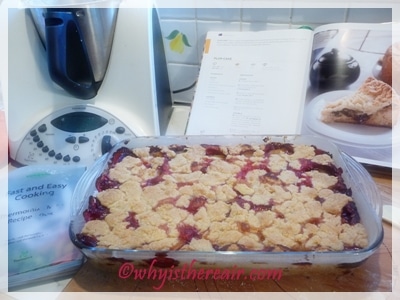 Thermomix Plum Cake from "Travelling with Thermomix"