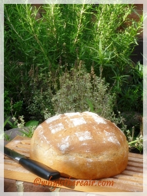 My beautiful French Country Loaf. Thank you, Thermomix!