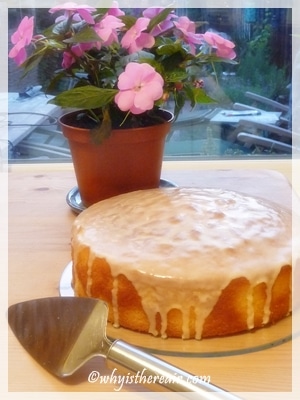 Madame Thermomix's Sicilian Orange Cake