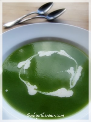 A bit of cream to finish your Thermomix asparagus soup