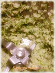 Super fast chopping in Thermomix makes for quick curries