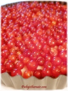 Our red currant "jewels"
