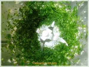 Here is my chopped and mixed Chimichurri Sauce still in my Thermomix bowl