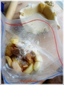 Use a plastic bag to toss your apples in flour, sugar and cinnamon