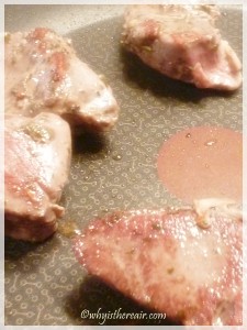 After cooking in your Thermomix Water Bath, colour your lamb medallions in a medium-hot pan
