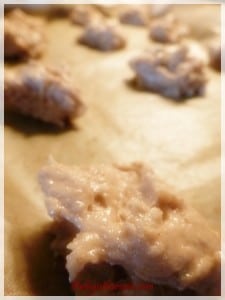 Almond Butter Cookies before cooking